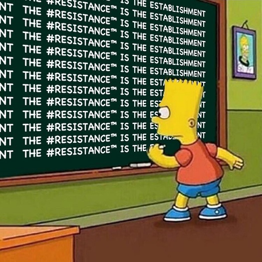 resistance is establishment.jpg